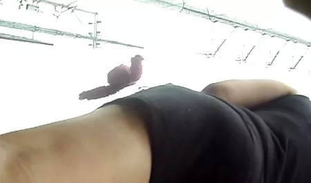 الأجانب افلام سكس مصري بدون تحميل ينجذبون إلى تكوينات الجسم أن الحمار
