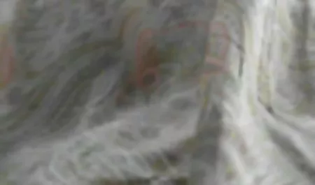 الذوق صغيرة مقاطع فيديو سكس مصرية الثدي
