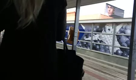على سيكي مصري